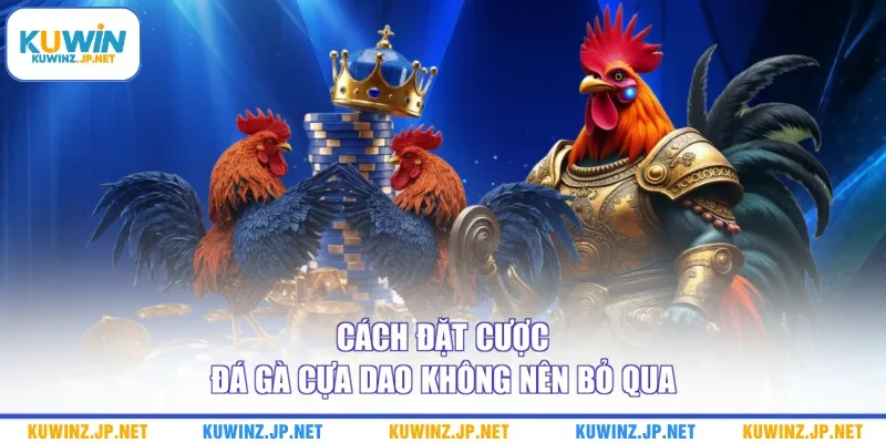 Cách đặt cược đá gà cựa dao không nên bỏ qua