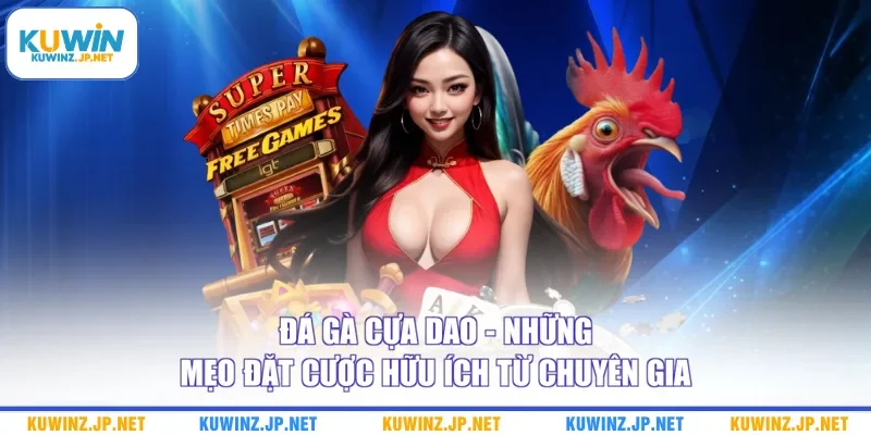 Đá Gà Cựa Dao - Những Mẹo Đặt Cược Hữu Ích Từ Chuyên Gia
